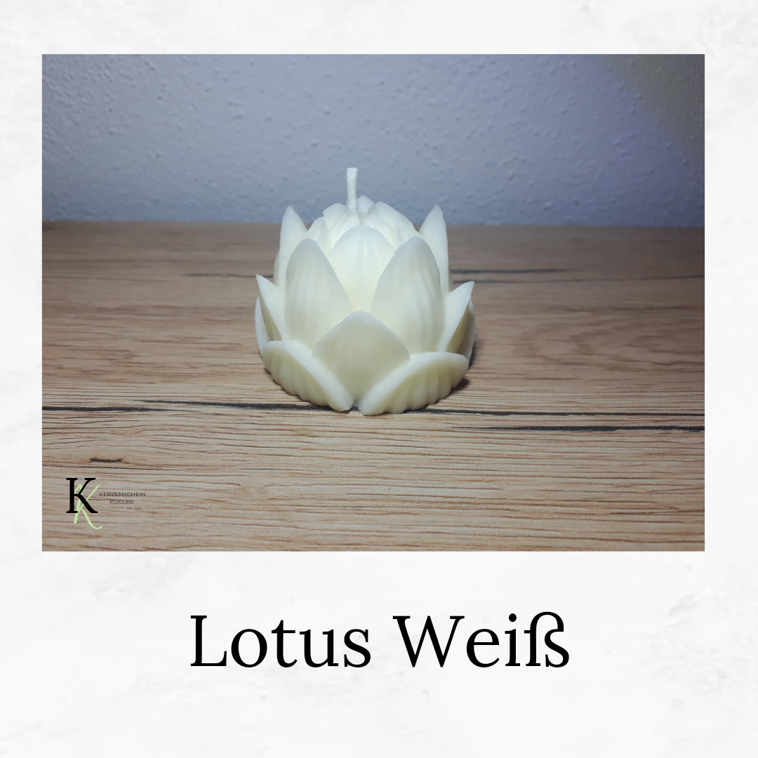 Lotus