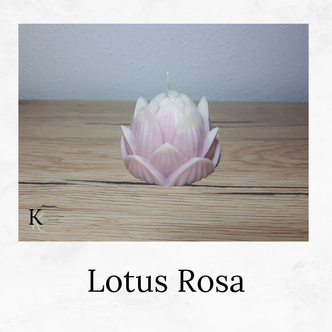 Lotus