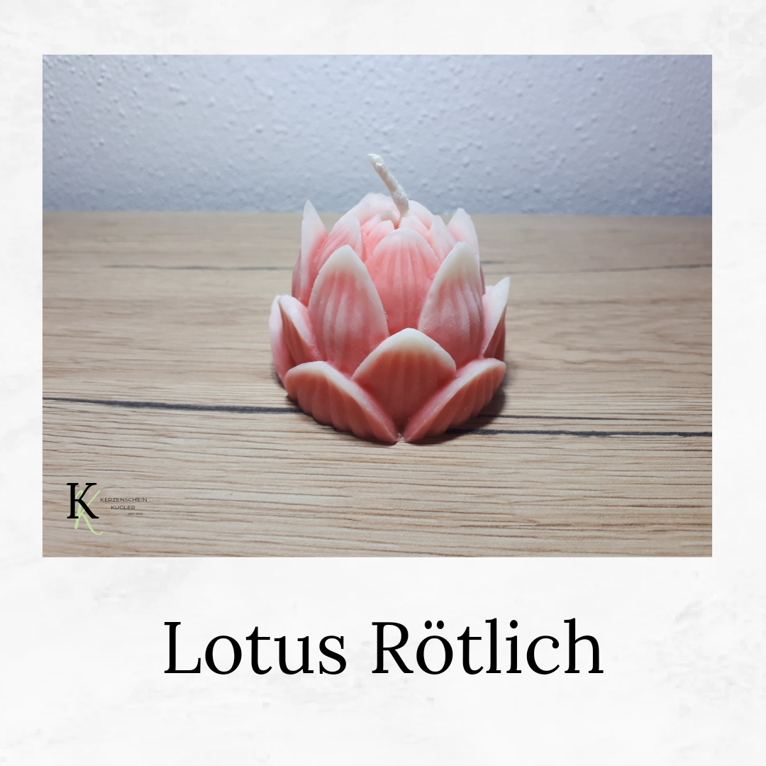 Lotus