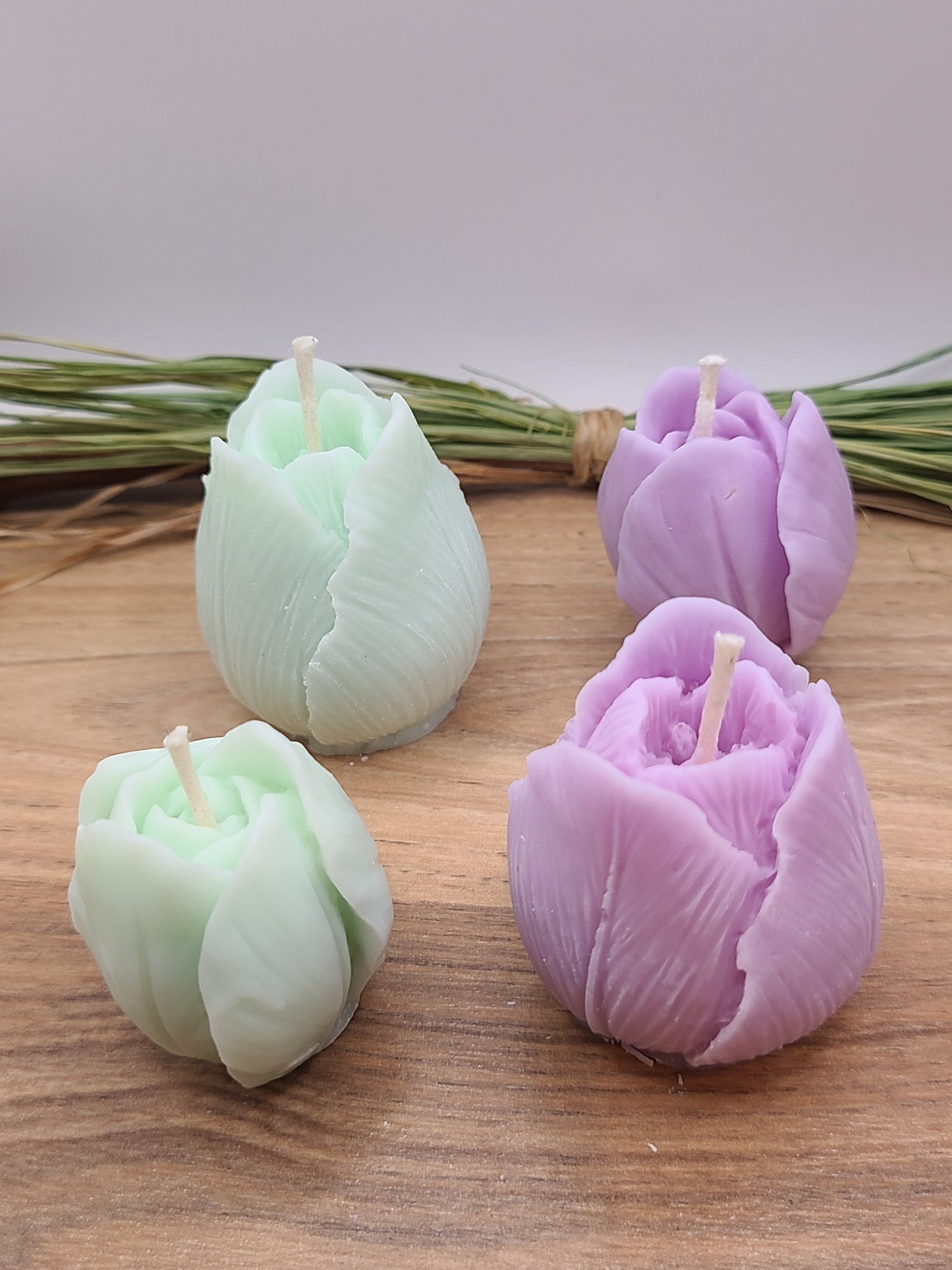 große Tulpe