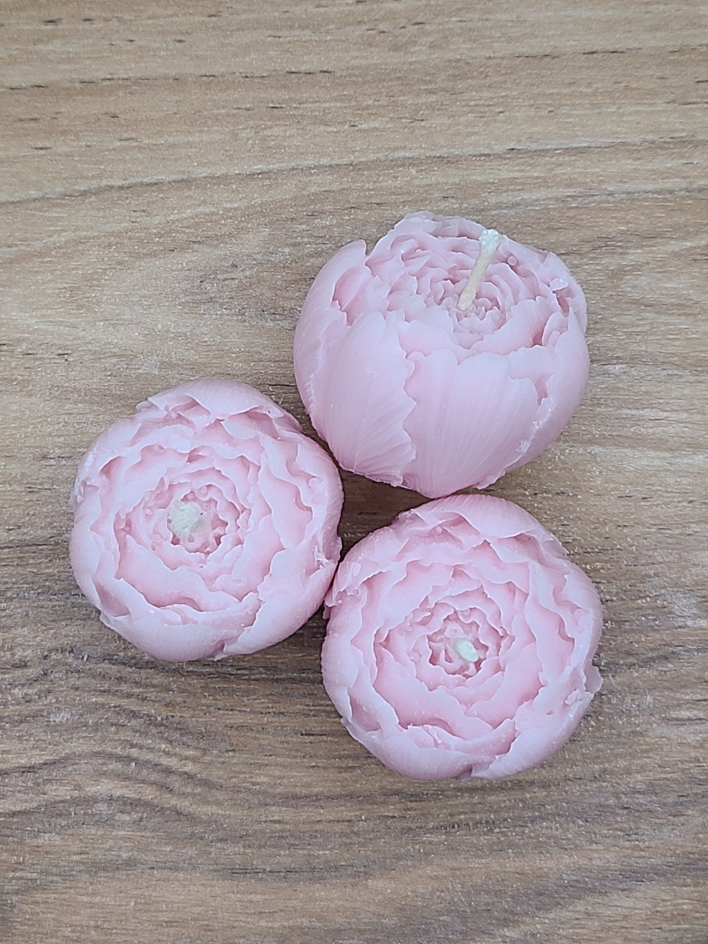 mini Rose