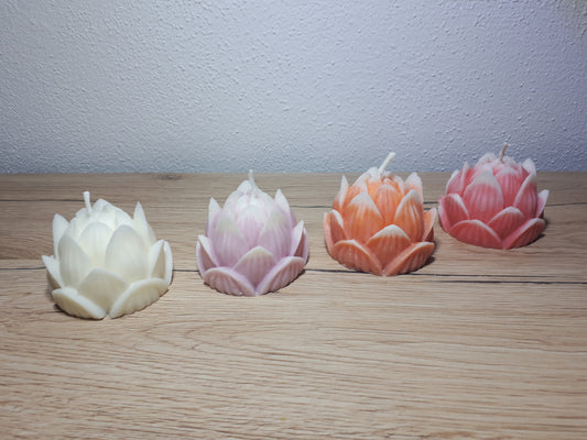 Lotus