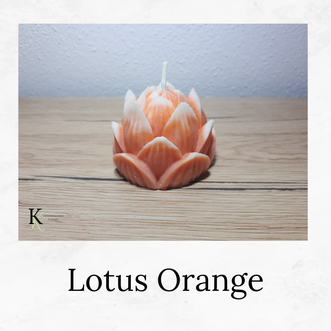 Lotus