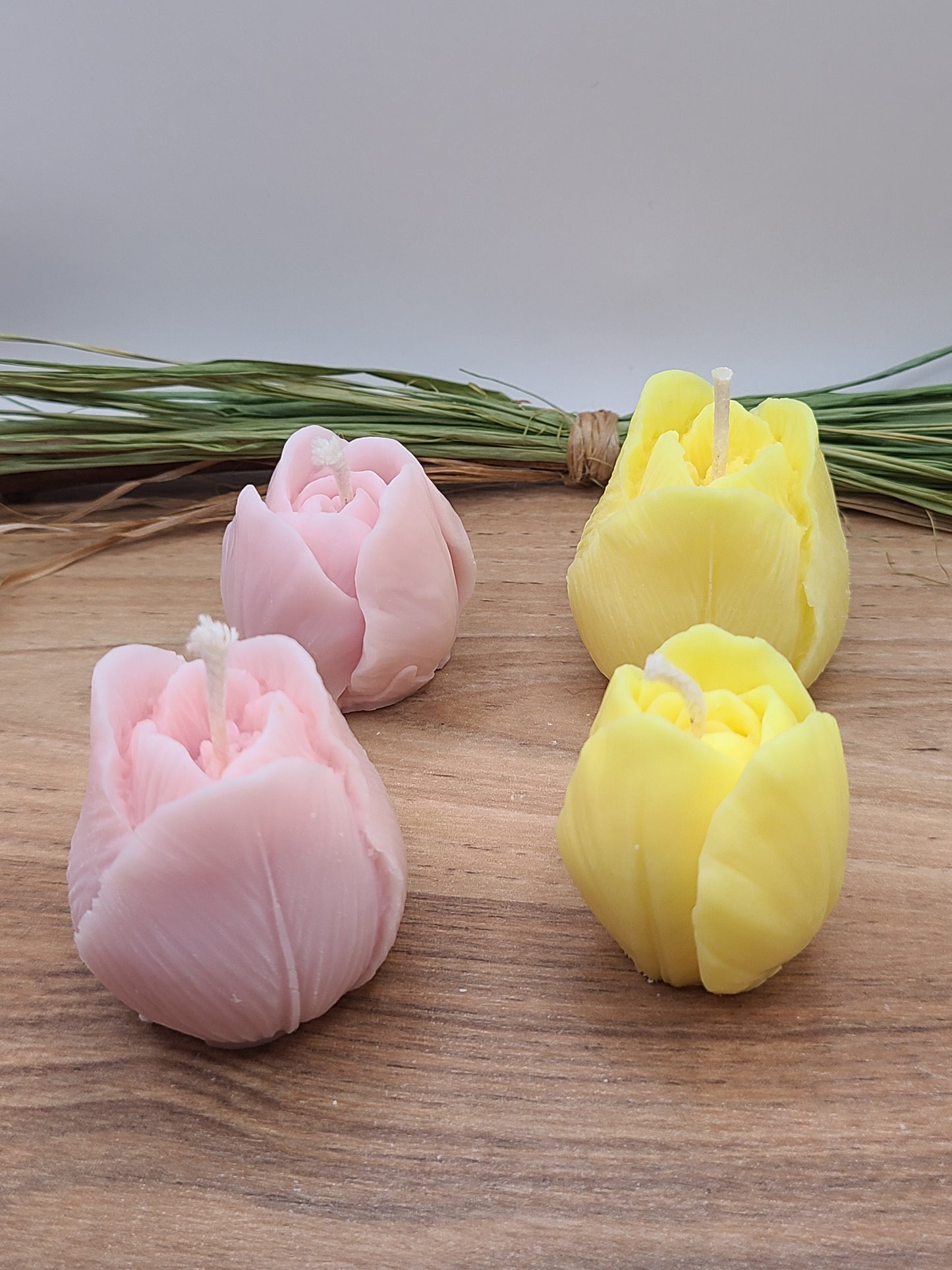große Tulpe