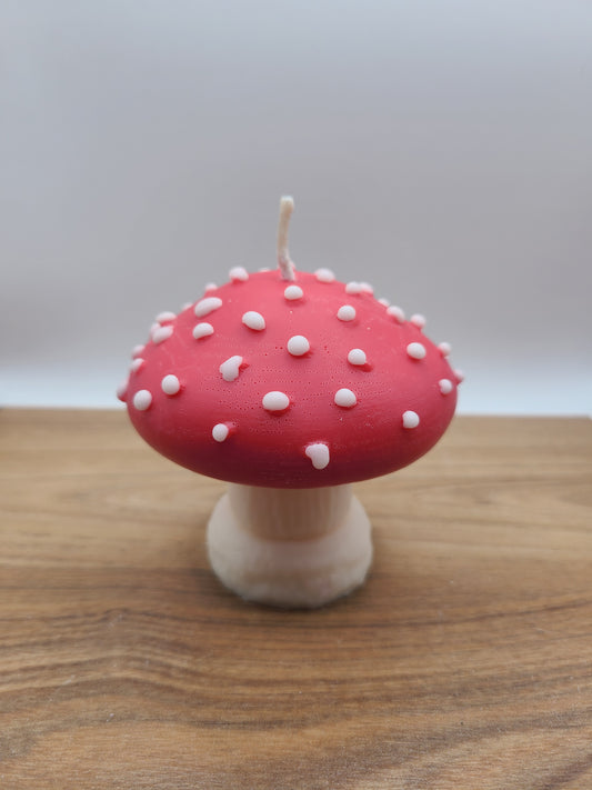Pilz